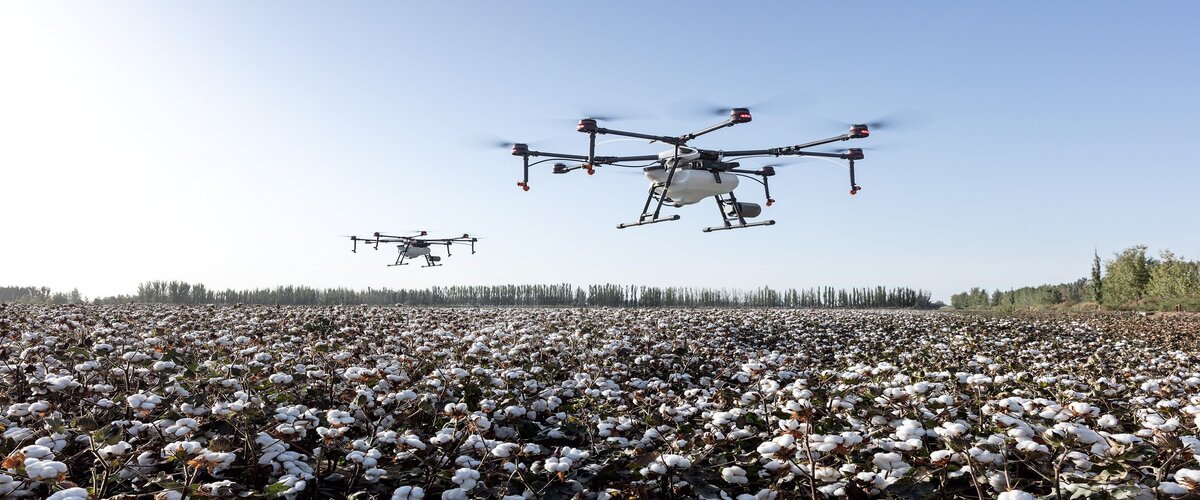 AGRICOLTURA, PATUANELLI: “DAL PNRR UN AMPIO PACCHETTO STRUMENTI PER LA TRANSIZIONE DIGITALE”